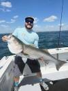 tall tailz charters striped bass fishing