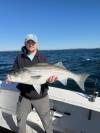 Tall Tailz Charters Newport RI Striped Bass