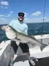 tall tailz charters striped bass fishing