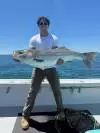 Striped Bass Tall Tailz Charters